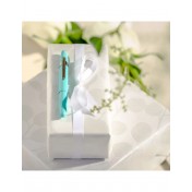 Космическая шариковая ручка с клипсой Fisher Space Pen Bullet (Turquoise) — дополнительное фото