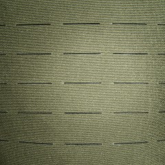 Тактический дневной рюкзак Tasmanian Tiger Modular Daypack L (олива)