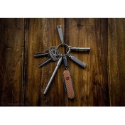Карабин-коннектор для ключей и аксессуаров TEC Accessories Python-QR Titanium Quick Release — дополнительное фото