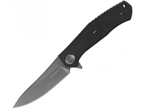 Складной нож Kershaw Concierge (4020X) Складной нож Kershaw Concierge (4020X)