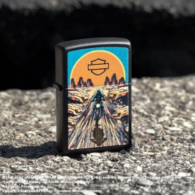 Зажигалка Zippo Harley-Davidson Texture Print Design (46861)
